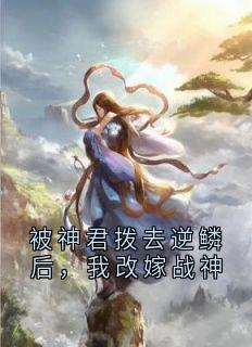 被神君拨去逆鳞后，我改嫁战神